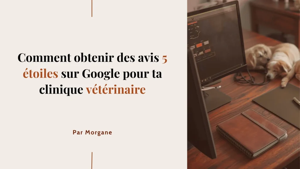 Comment obtenir des avis 5 étoiles sur Google pour ta clinique vétérinaire Comment obtenir des avis 5 étoiles sur Google pour ta clinique vétérinaire