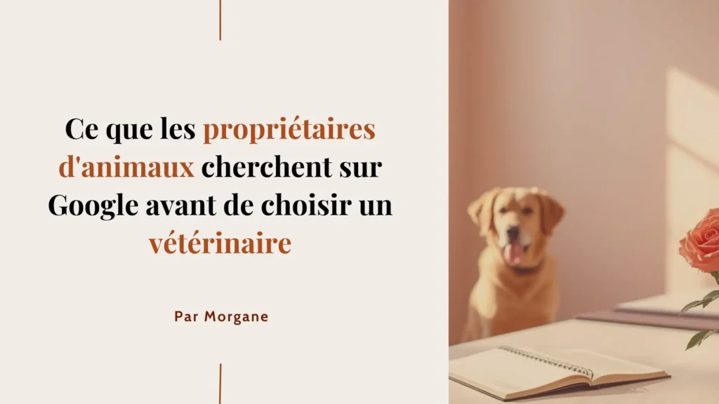 Ce que les propriétaires d'animaux cherchent vraiment sur Google avant de choisir un vétérinaire